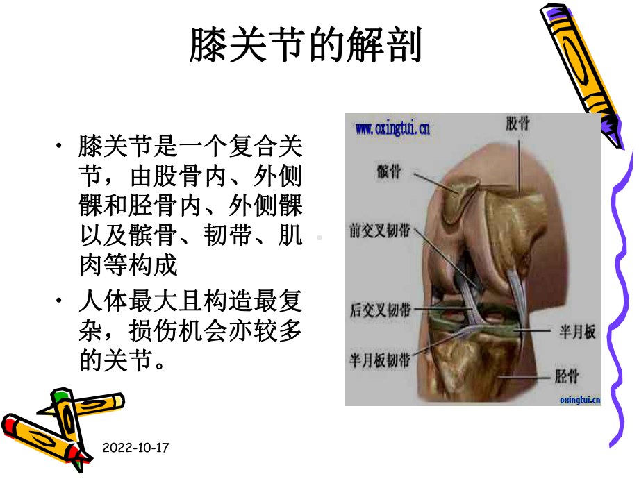 人工膝关置换术康复护理课件.ppt_第3页