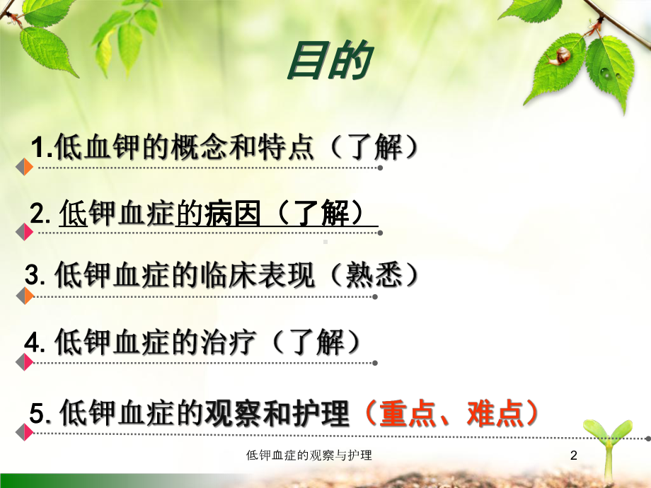 低钾血症的观察与护理课件.ppt_第2页