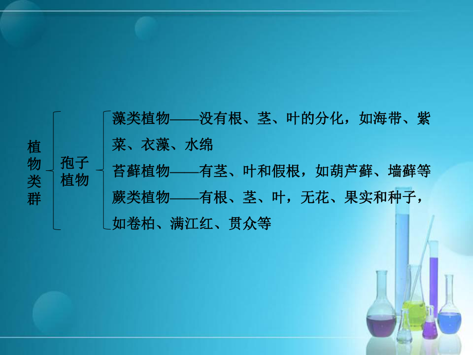 医学课件-植物的主要类群教学课件.ppt_第3页