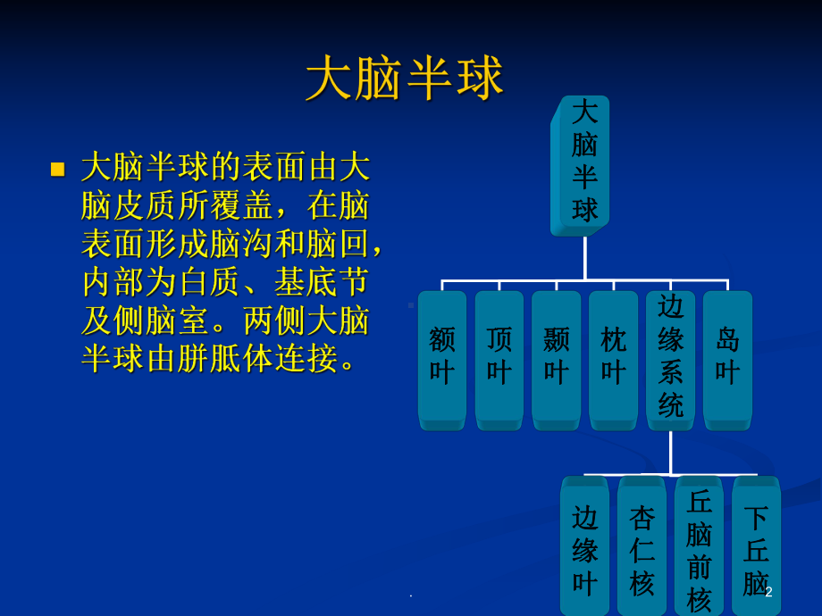 大脑半球病损表现及定位医学课件.ppt_第2页