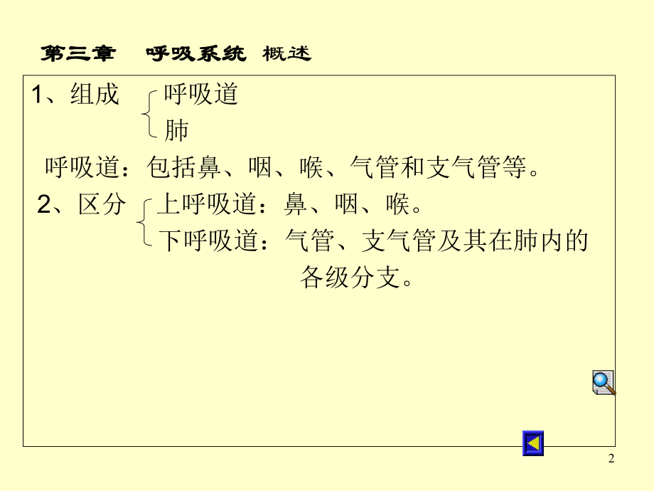 医学课件-呼吸系教学课件.ppt_第2页