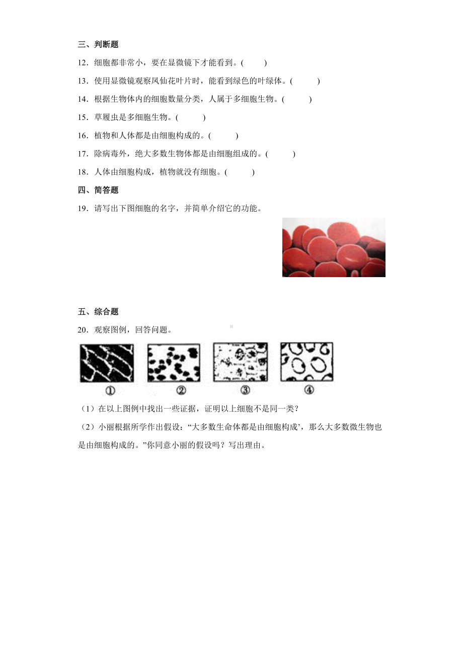 1.5观察更多的生物细胞（同步练习）-2022新教科版六年级上册《科学》.docx_第2页