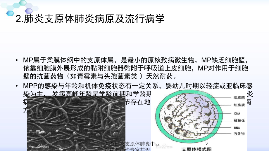 儿童肺炎支原体肺炎中西医结合诊治专家共识培训课件.ppt_第3页