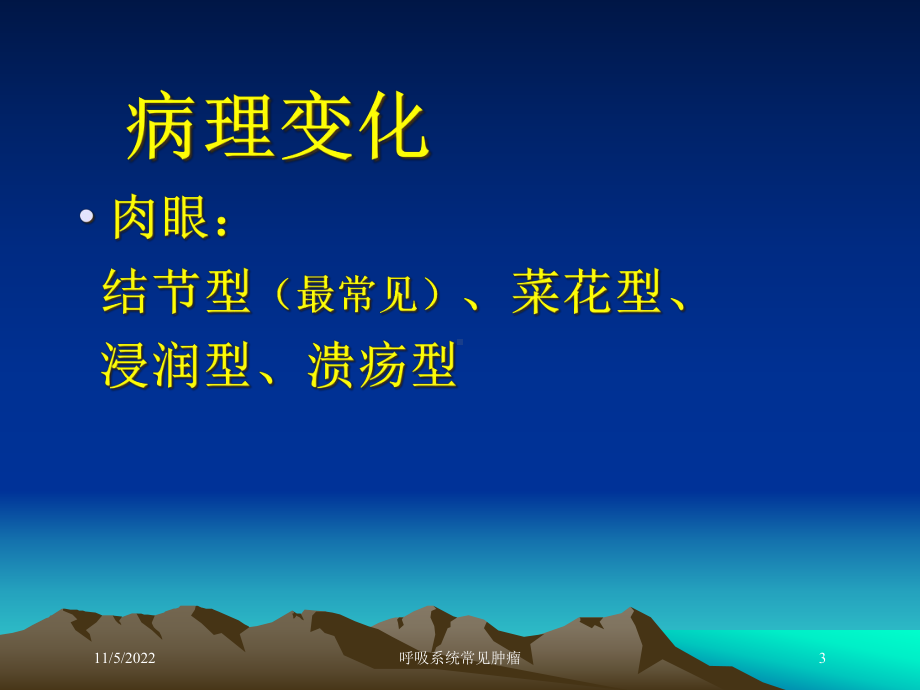 呼吸系统常见肿瘤培训课件.ppt_第3页