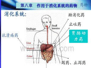 作用于消化系统药八课件.pptx