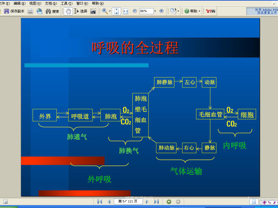 呼吸医学知识培训课件.ppt_第3页