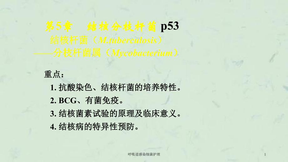 呼吸道感染细菌护理课件.ppt_第1页