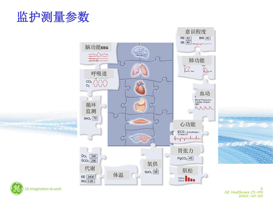 从临床看标配九参数的意义课件.ppt_第2页