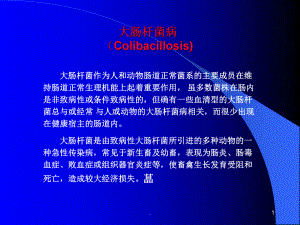 大肠杆菌病兽医病理学医学课件.ppt