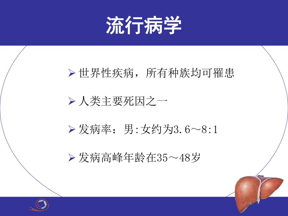 内科学肝硬化课件.ppt_第3页