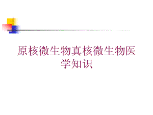 原核微生物真核微生物医学知识培训课件.ppt