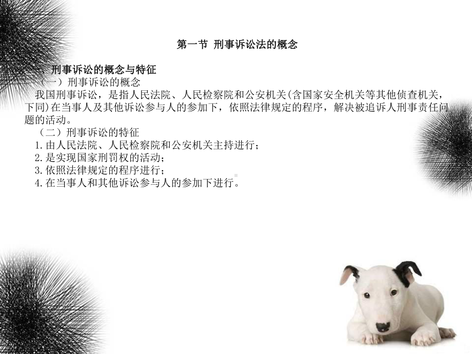 刑事诉讼法-课件.ppt_第3页