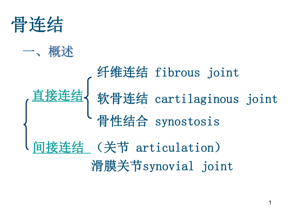 医学课件-骨连接教学课件.ppt_第1页