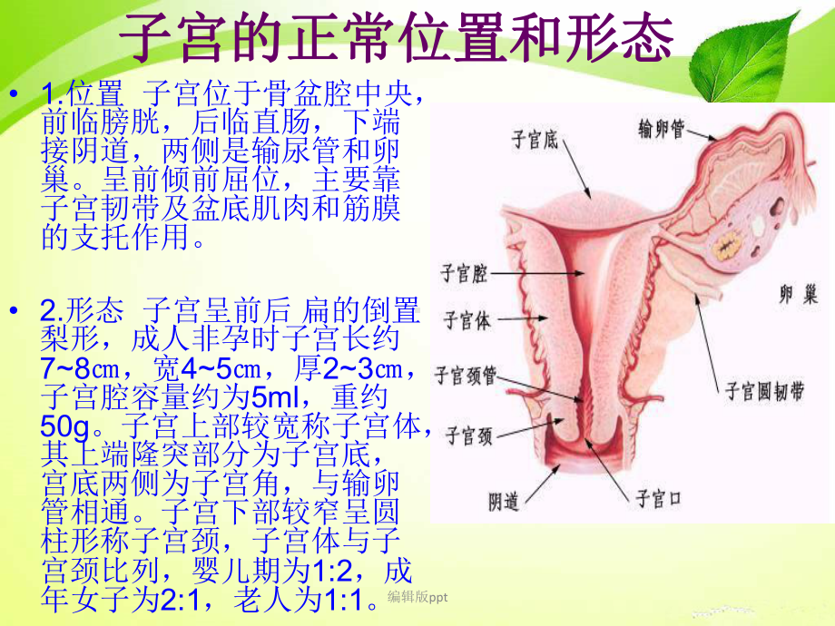 子宫全切术的手术配合课件.pptx_第2页