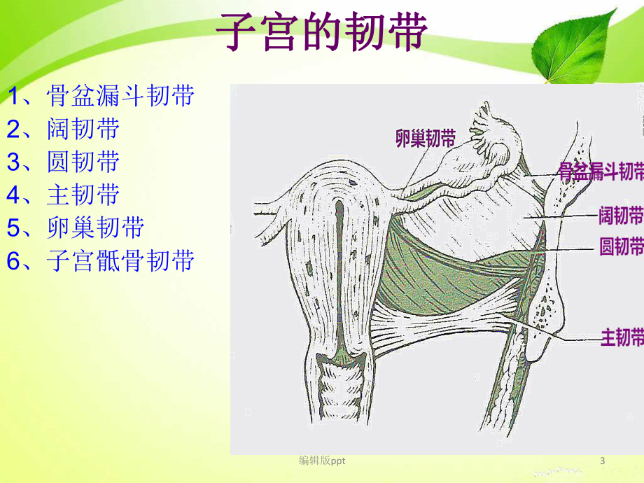 子宫全切术的手术配合课件.pptx_第3页