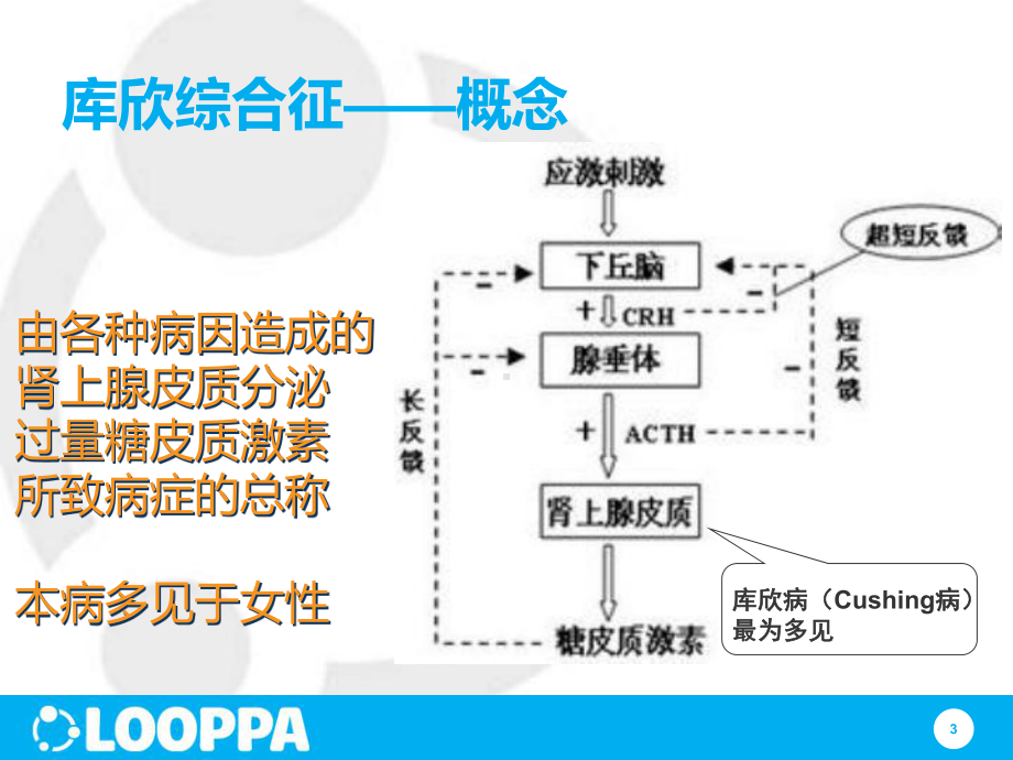 内分泌库欣综合征护理查房课件.ppt_第3页