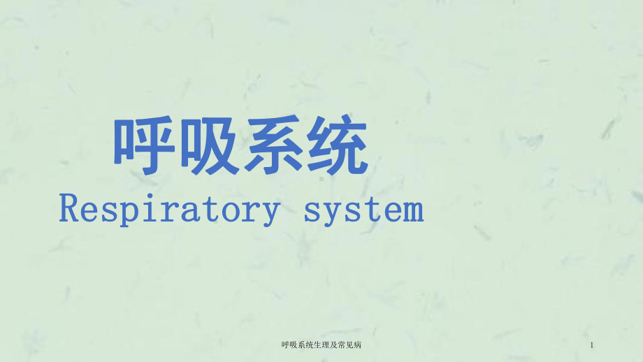 呼吸系统生理及常见病课件.ppt_第1页