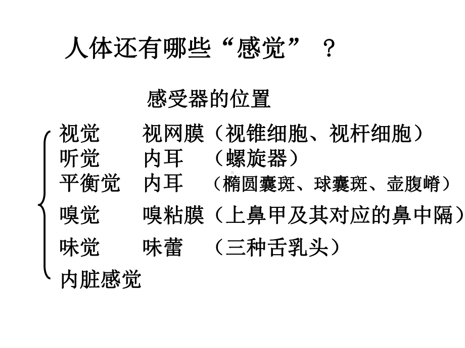 人体解剖学临床传导路课件.pptx_第3页