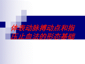 体表动脉搏动点和指压止血法的形态基础培训课件.ppt