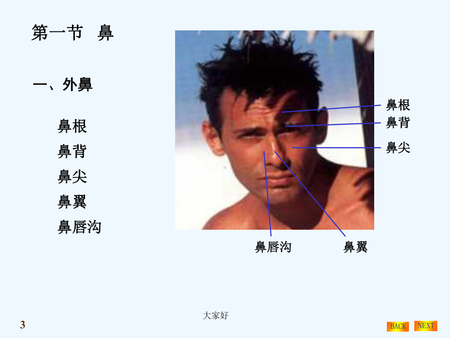 呼吸系统结构与功能-课件.ppt_第3页