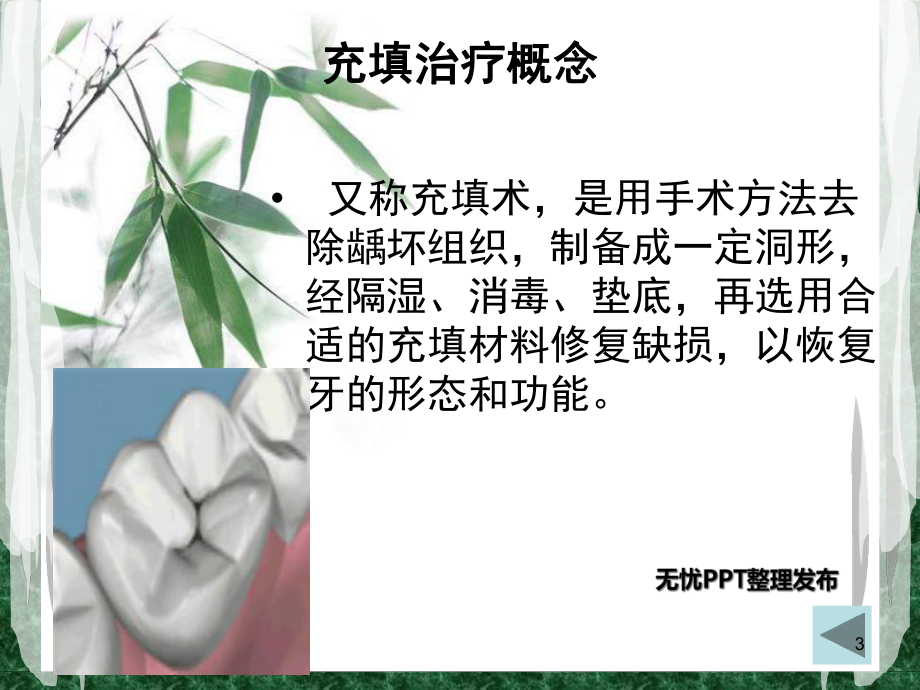 光固化复合树脂充填术(课堂)课件.ppt_第3页