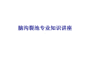 医学脑沟裂池专业知识讲座专题培训课件.ppt