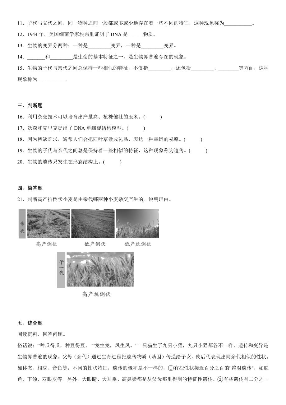 第二单元遗传与变异（单元测试）-2022新苏教版六年级上册《科学》.docx_第2页