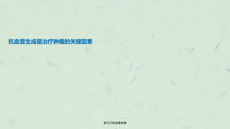 安维汀抗血管机制课件.ppt_第2页