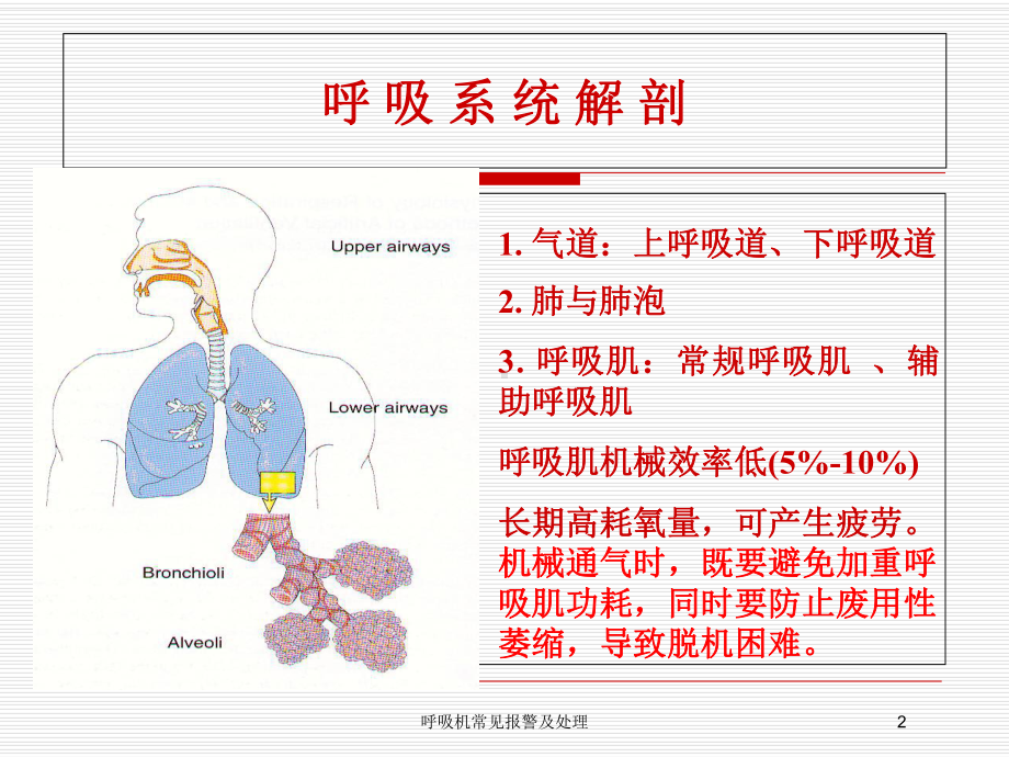 呼吸机常见报警及处理培训课件.ppt_第2页