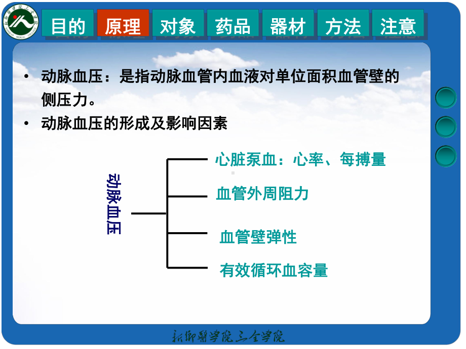 动脉血压的调节与急性失血性休克课件.ppt_第3页