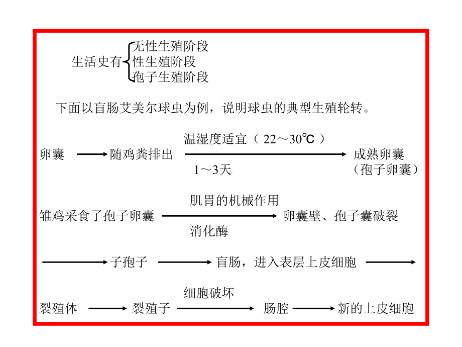 家禽寄生虫病剖析课件.ppt_第2页