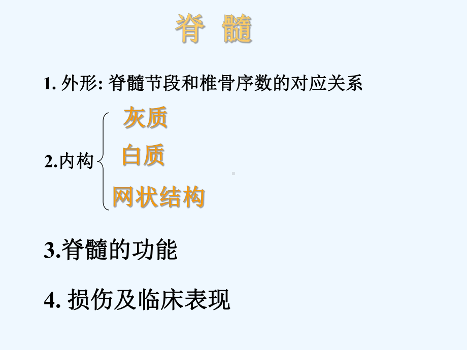 医学课件《脊髓疾病》.ppt_第3页