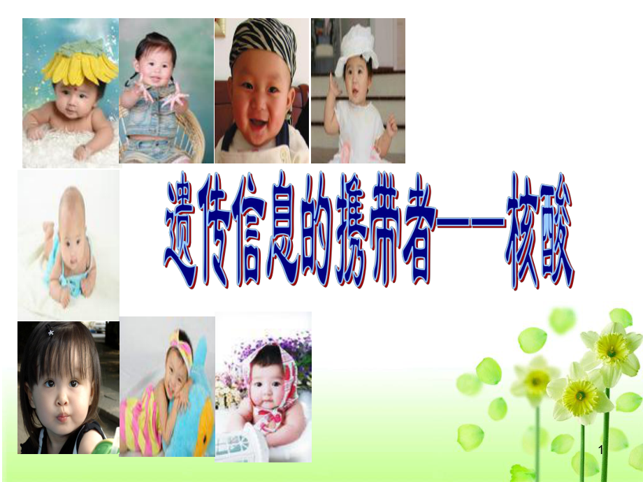 噬菌体侵染细菌的实验(课堂)课件.ppt_第1页