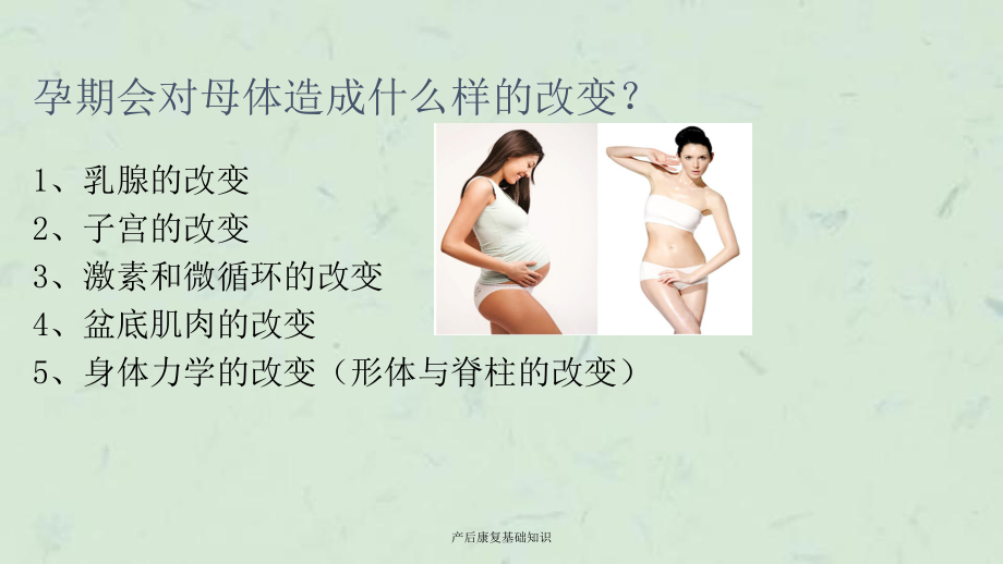 产后康复基础知识课件.ppt_第2页