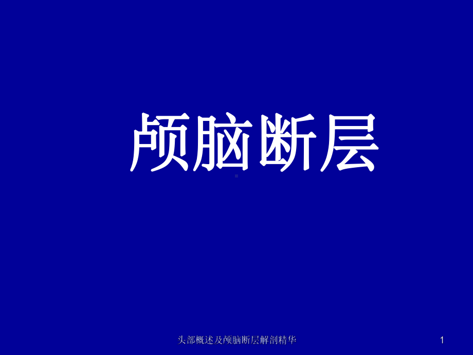 头部概述及颅脑断层解剖精华课件.ppt_第1页