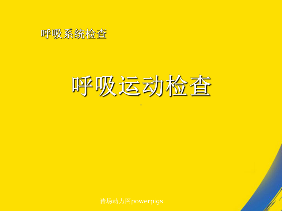 呼吸系统之呼吸运动检查课件.ppt_第1页