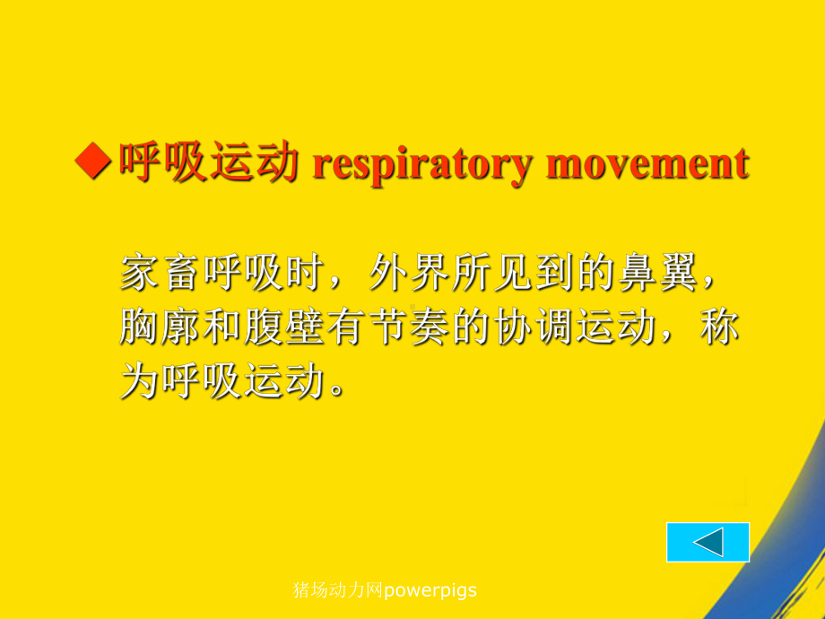 呼吸系统之呼吸运动检查课件.ppt_第2页