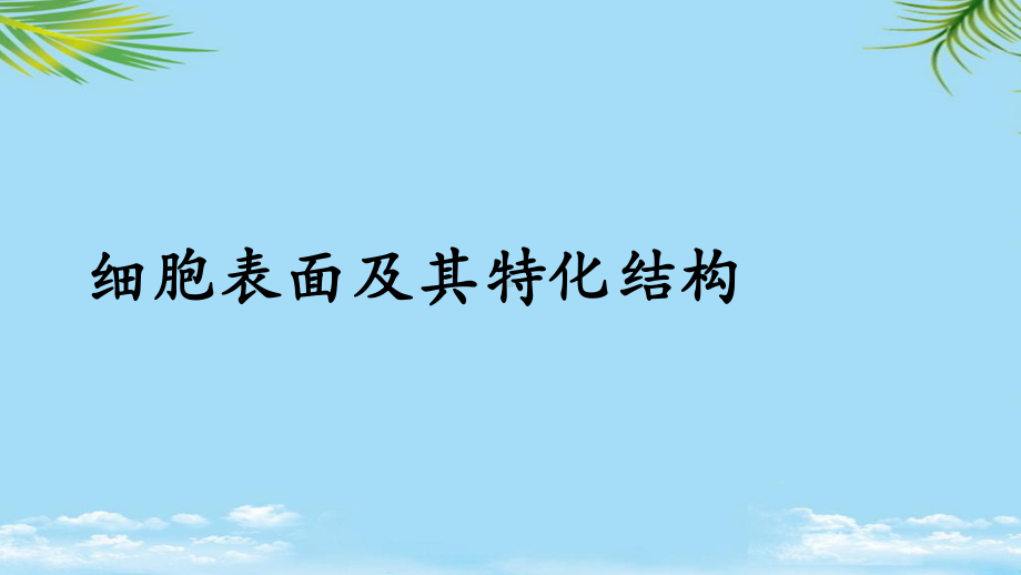 医学细胞生物学细胞表面及其特化结构全面课件.pptx_第1页