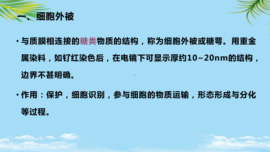 医学细胞生物学细胞表面及其特化结构全面课件.pptx_第3页