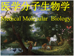 医学分子生物学MedicalMolecularBiology教学课件.ppt