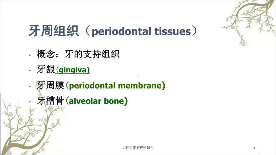 口腔组织病理学课件.ppt_第2页