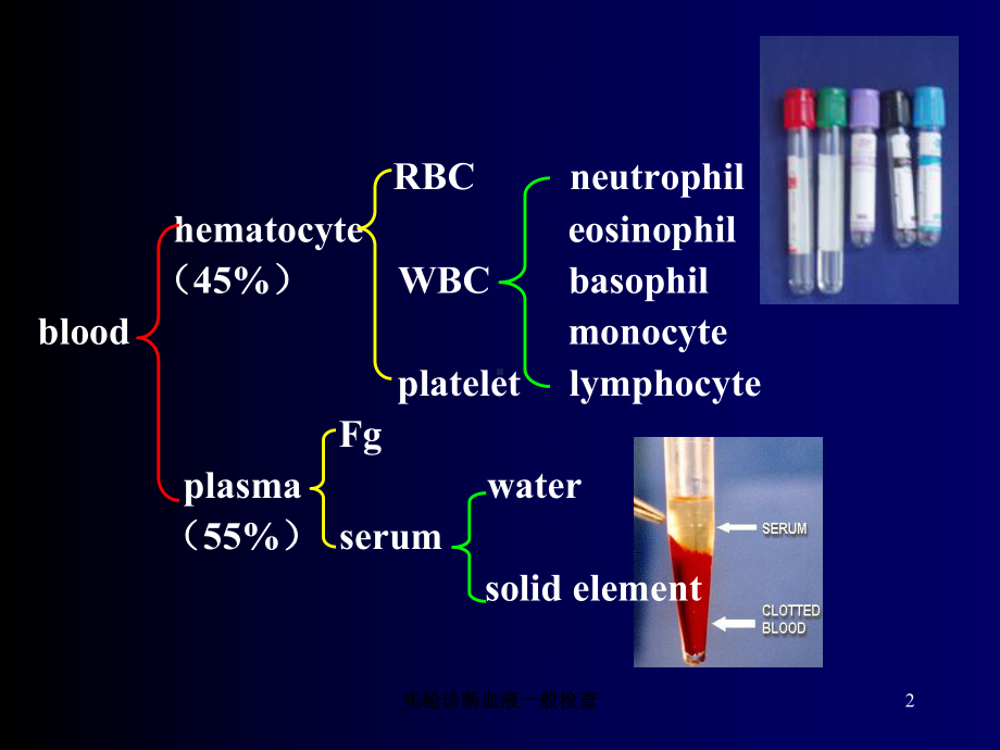 实验诊断血液一般检查培训课件.ppt_第2页
