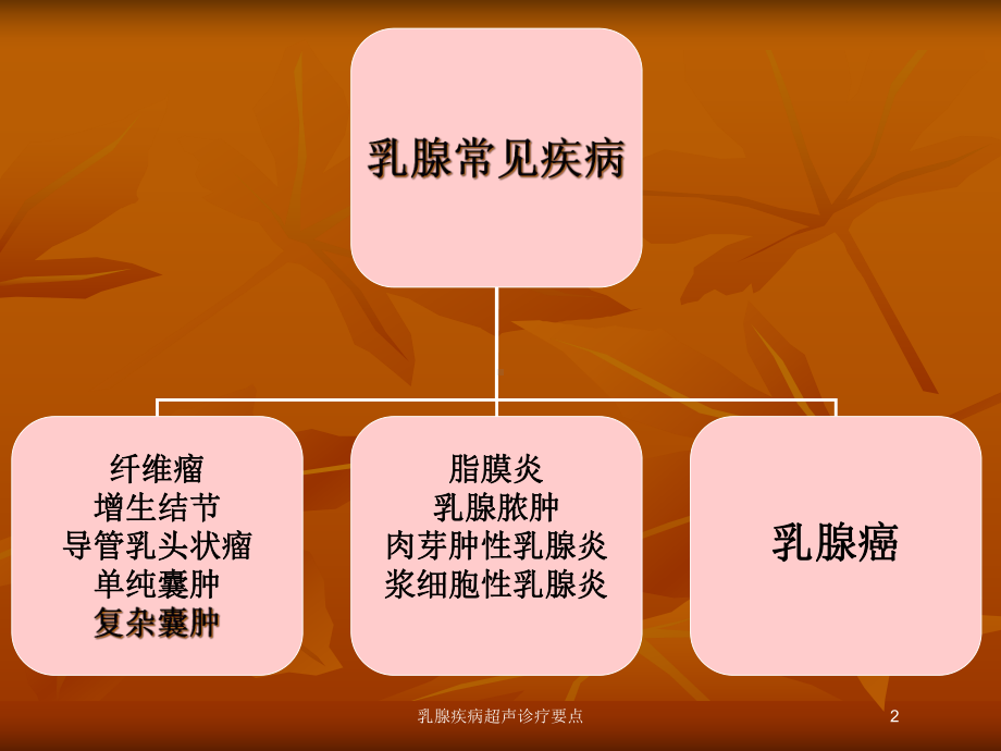 乳腺疾病超声诊疗要点培训课件.ppt_第2页