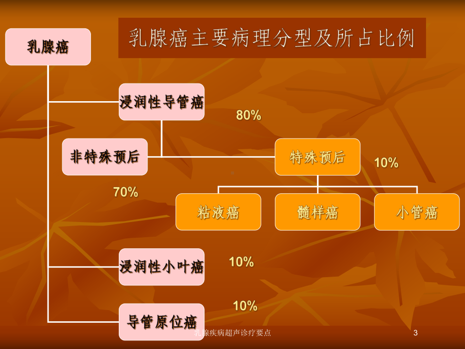 乳腺疾病超声诊疗要点培训课件.ppt_第3页