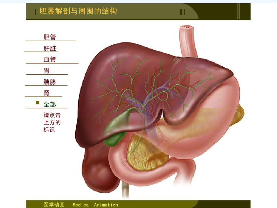 医学超级全之病生呼吸功能不全66课件.ppt_第2页