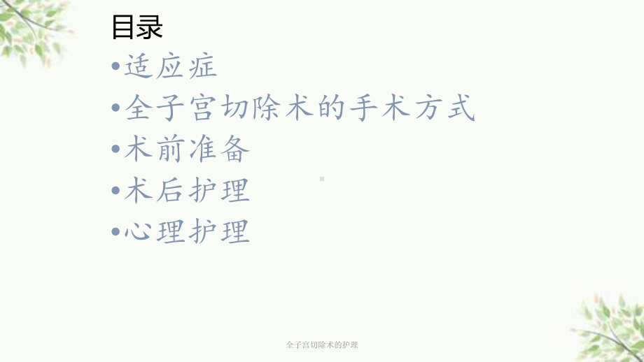 全子宫切除术的护理课件.ppt_第2页