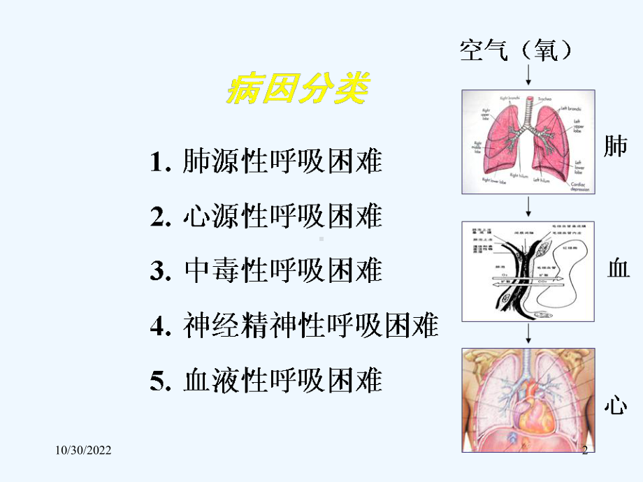 呼吸系统诊断学课件.ppt_第2页