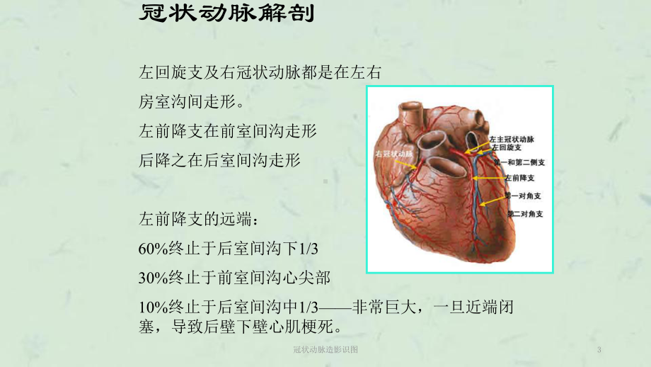 冠状动脉造影识图课件.ppt_第3页