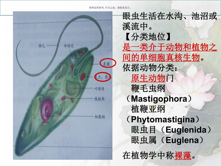 单细胞生物医学知识课件.ppt_第3页