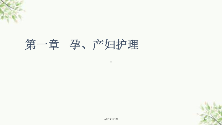 孕产妇护理课件.ppt_第1页